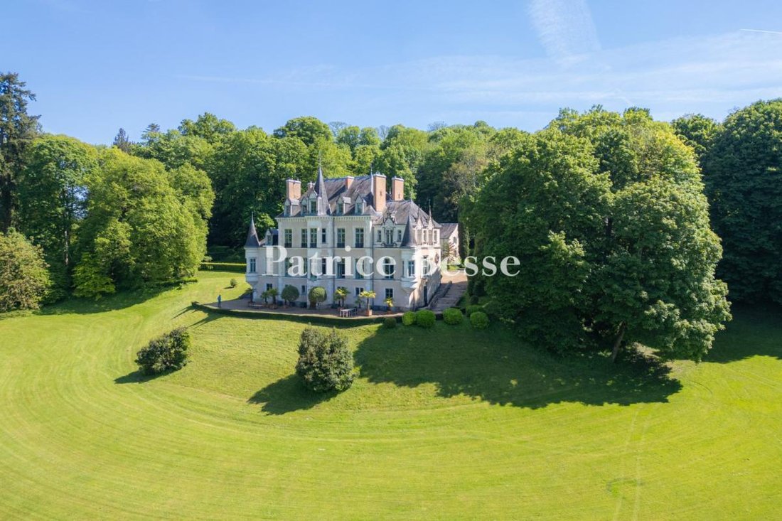 Castle in Le Mans, Pays de la Loire, France 4 - 14453960