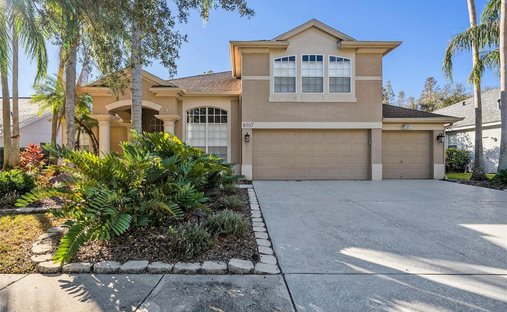 House in Tampa, Florida, United States 1