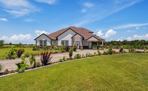 Farm Ranch in Wills Point, Texas, United States 1