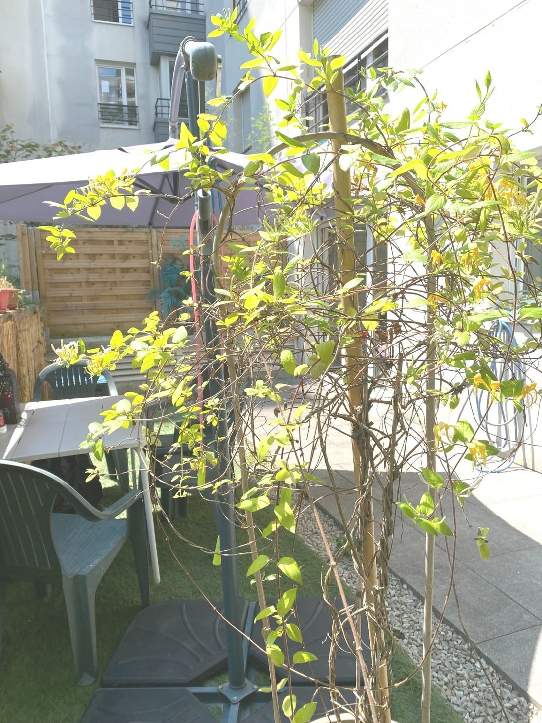 Apartment in Manin-Jaurès, Paris 19e Arrondissement, Paris 4 - 18315559