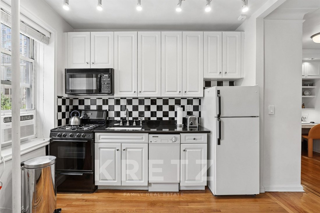 Apartment in New York, New York, United States 3 - 18314258