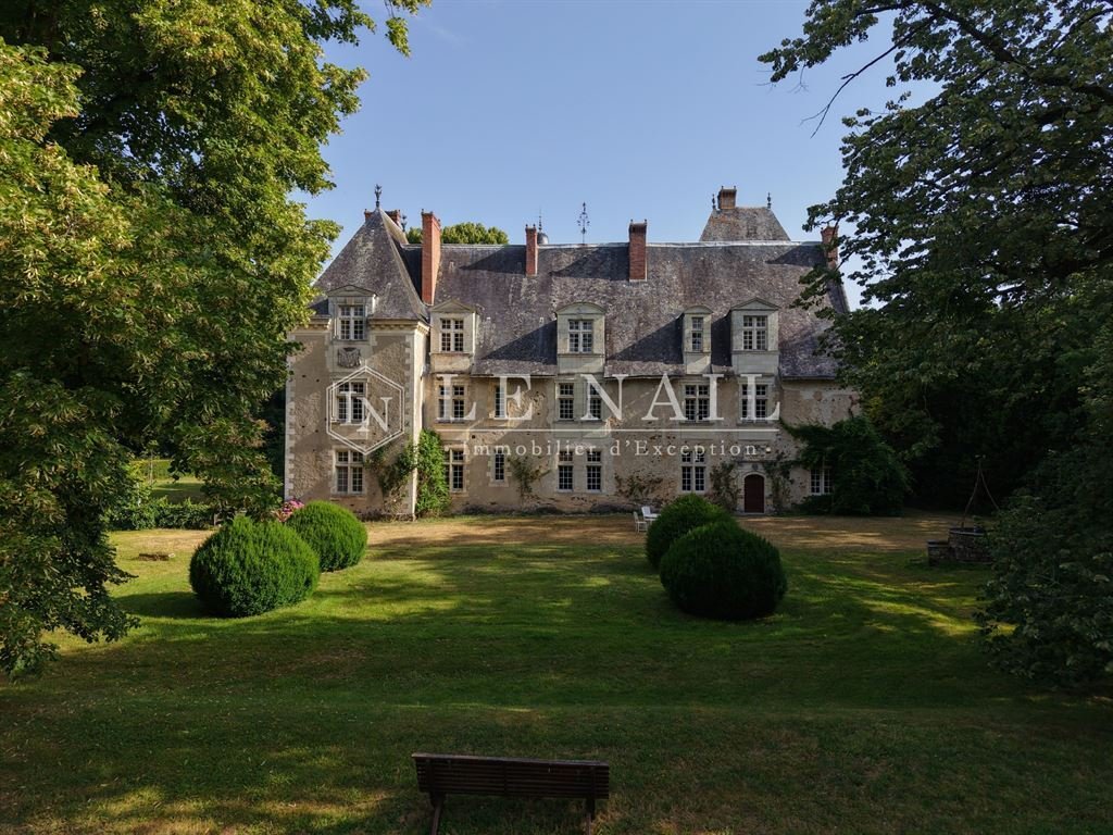 Castle in Le Lion-d'Angers, Pays de la Loire, France 1 - 17082979