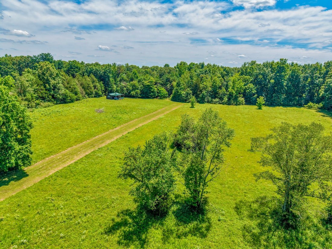 Farm Ranch in Bon Aqua, Tennessee, United States 3 - 18152507