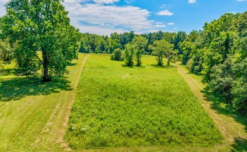 Farm Ranch in Bon Aqua, Tennessee, United States 1