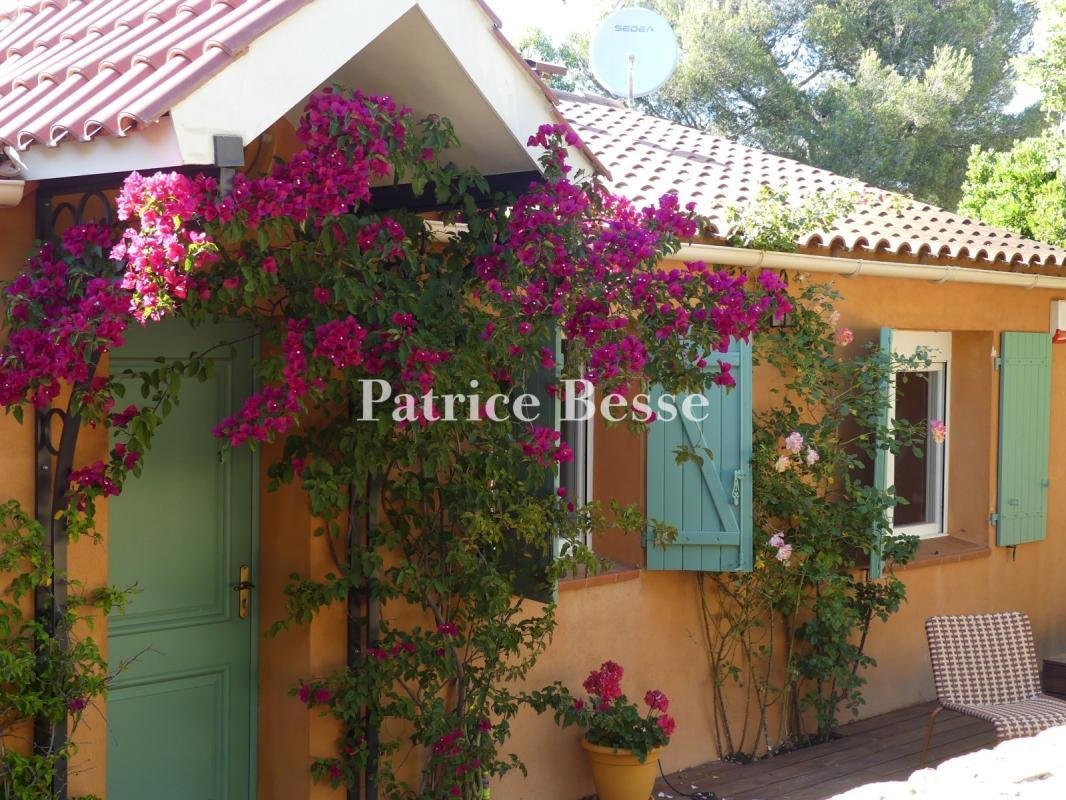 Villa in Sud, Le Pradet, France 2 - 18313243