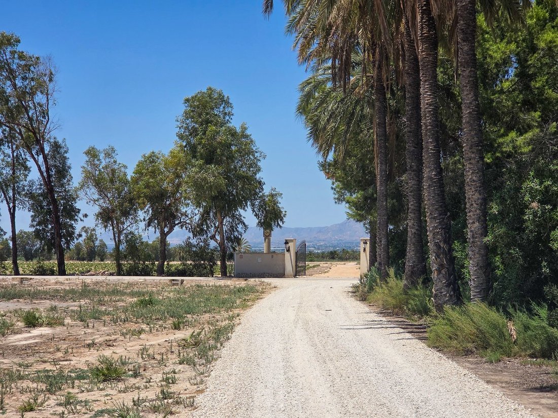 House in Elx / Elche, Valencian Community, Spain 2 - 18311050