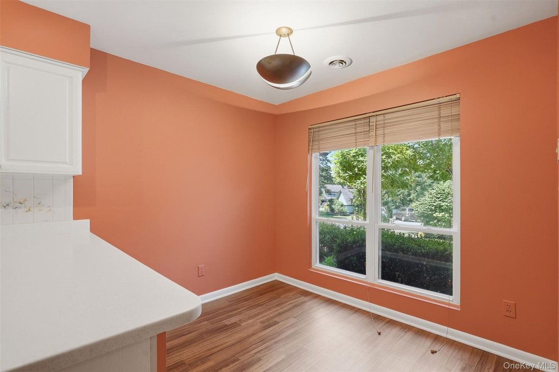 Condo in Rhinebeck, New York, United States 3 - 18226163