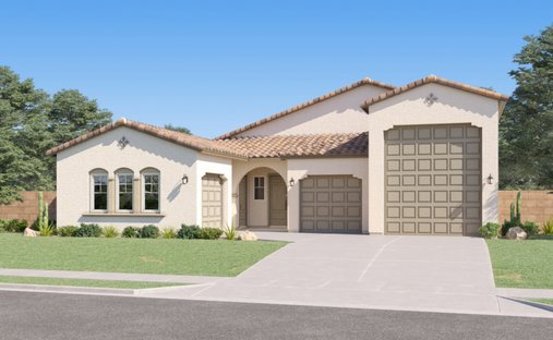 House in San Tan Valley, Arizona, United States 1