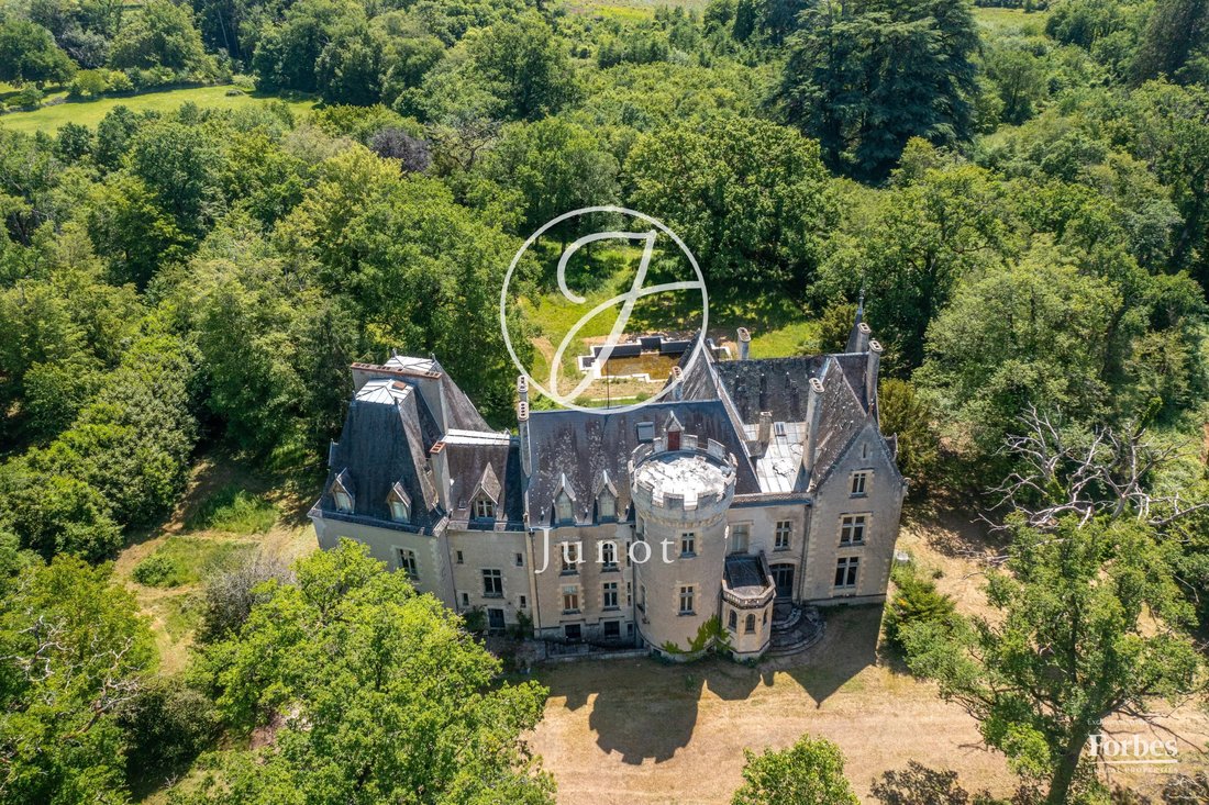 Castle in La Guerche-sur-l'Aubois, Centre-Val de Loire, France 1 - 18038155