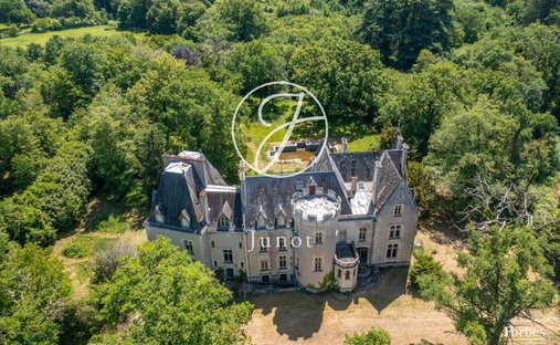 Castle in La Guerche-sur-l'Aubois, Centre-Val de Loire, France 1