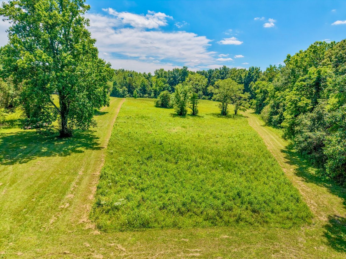 House in Bon Aqua, Tennessee, United States 2 - 18204005