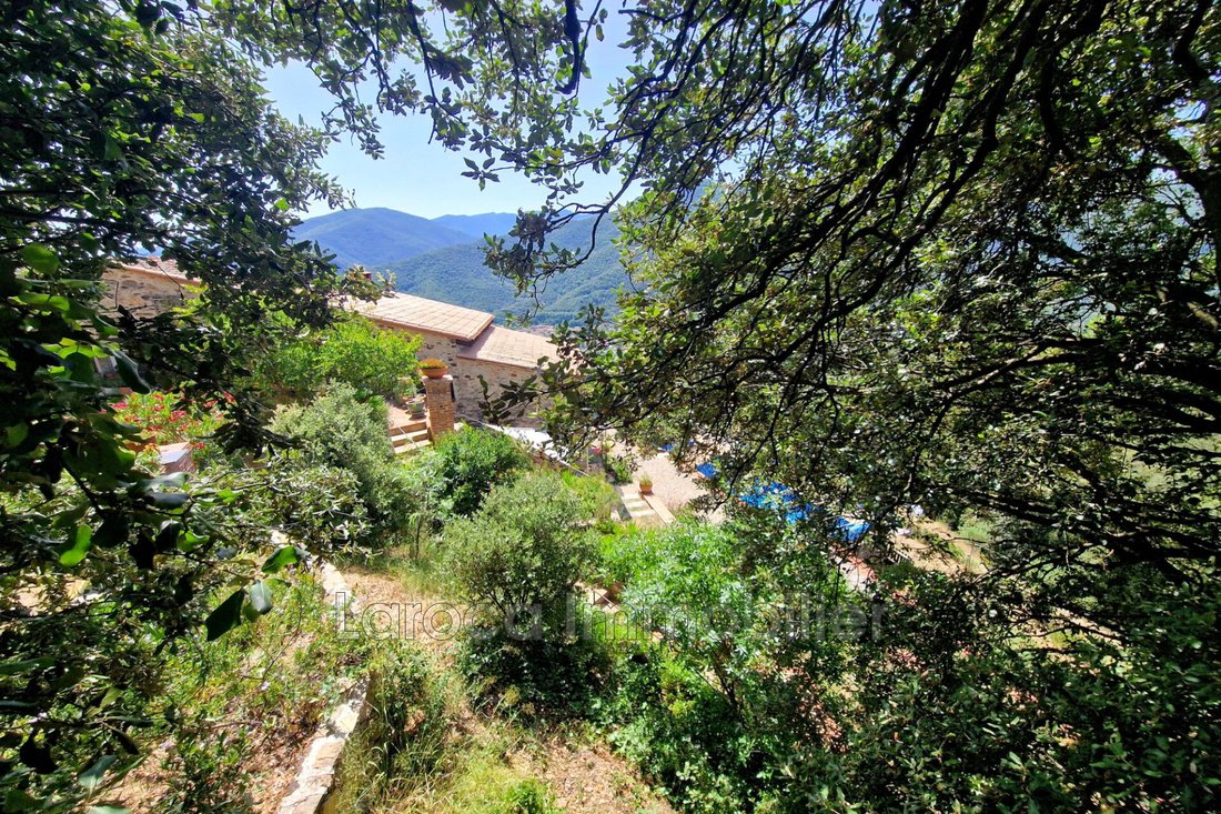 Villa in Montbolo, Occitania, France 4 - 16017746