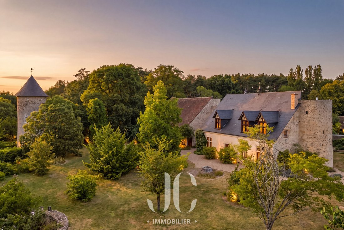 House in Villefranche-sur-Cher, Centre-Val de Loire, France 1 - 18313575