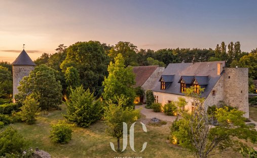House in Villefranche-sur-Cher, Centre-Val de Loire, France 1