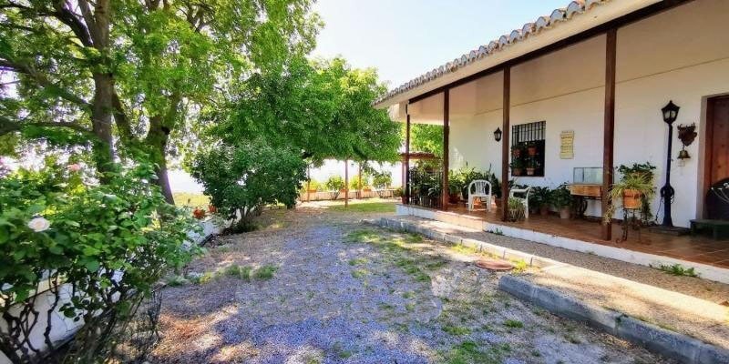 Country House in El Fargue, Albaicin, Granada 4 - 18315819