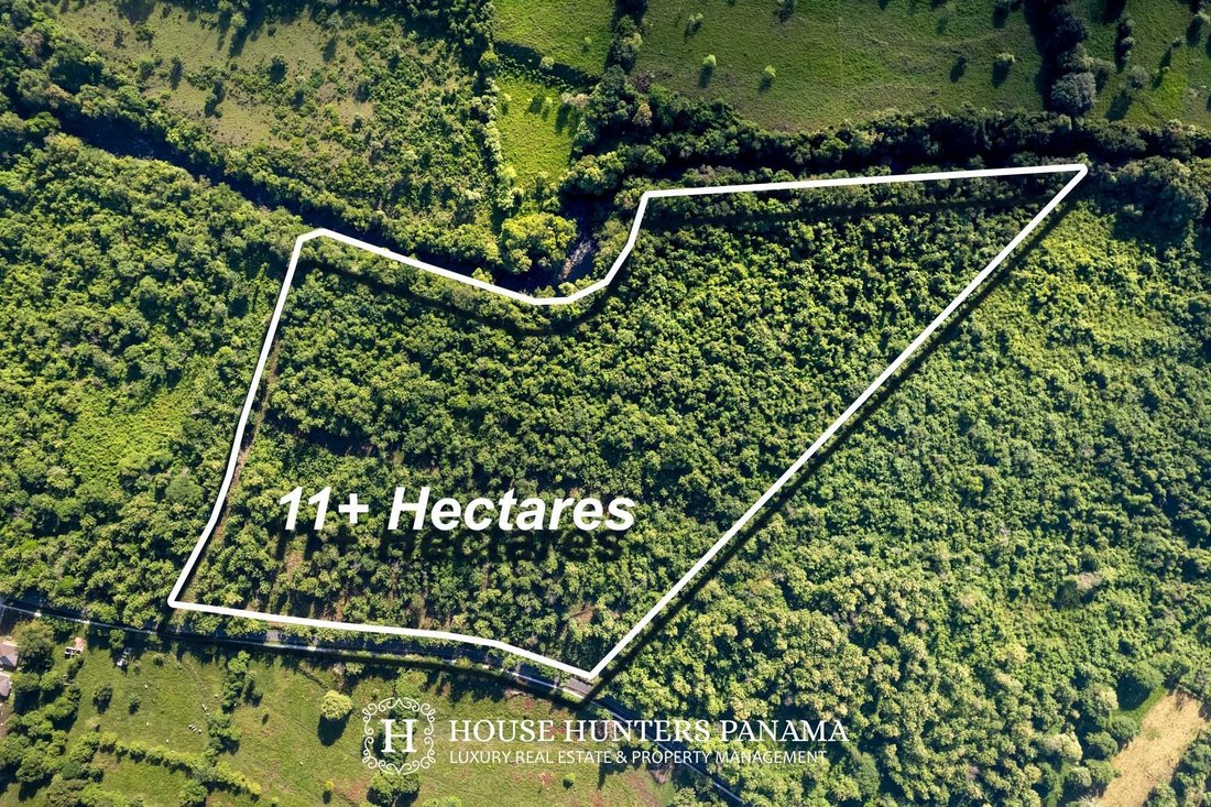 Land in Bágala, Chiriquí Province, Panama 2 - 18315897