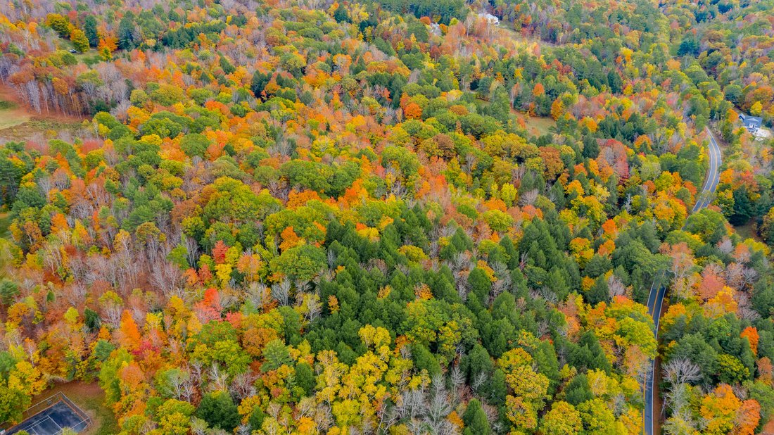 Land in Hanover, New Hampshire, United States 5 - 18316450