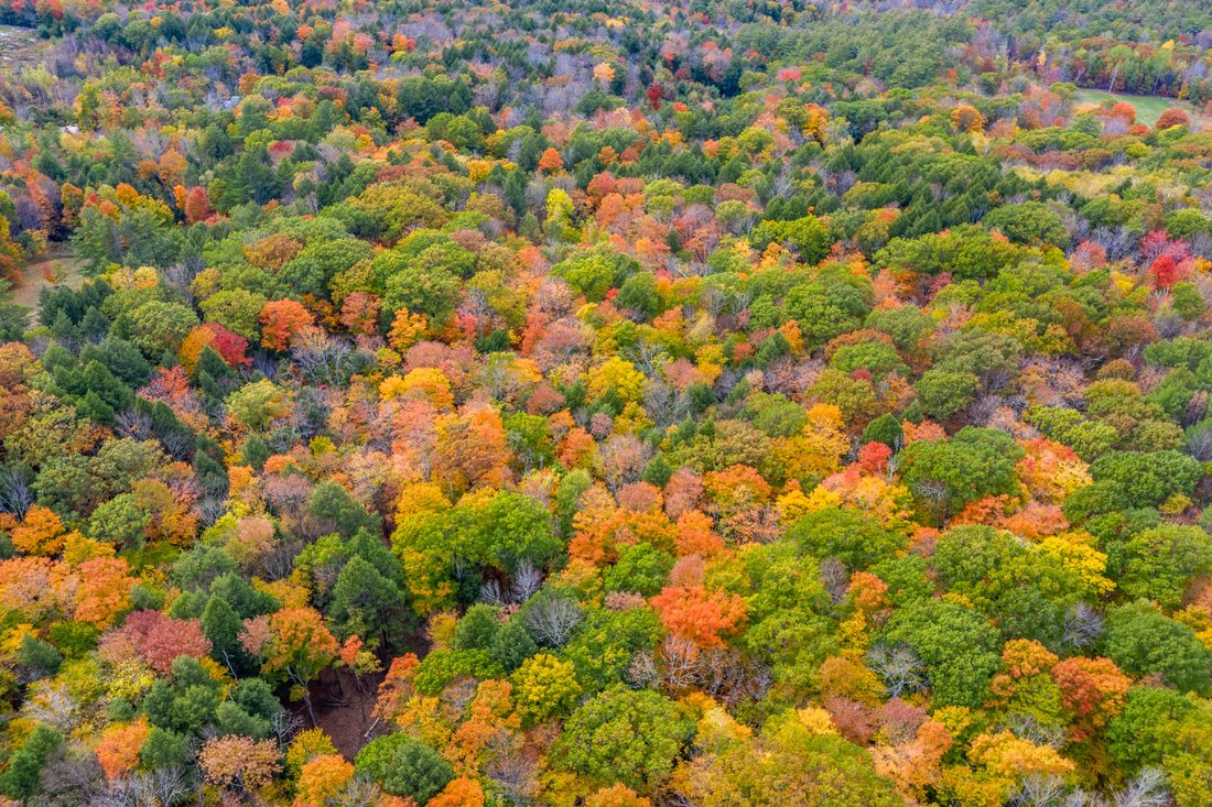 Land in Hanover, New Hampshire, United States 3 - 18316450