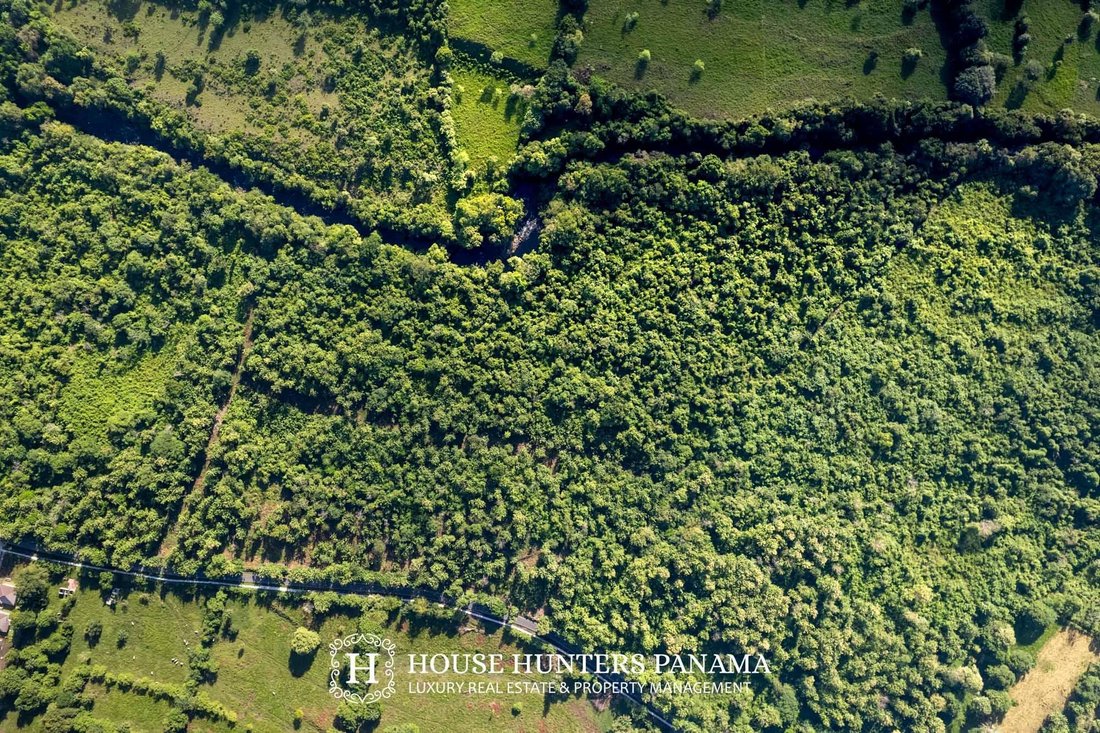 Land in Bágala, Chiriquí Province, Panama 5 - 18315897