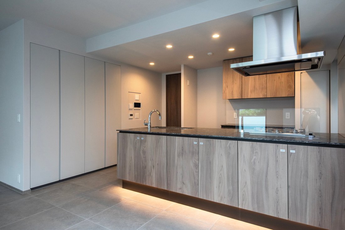 Condo in Minato City, Tokyo, Japan 4 - 18315096