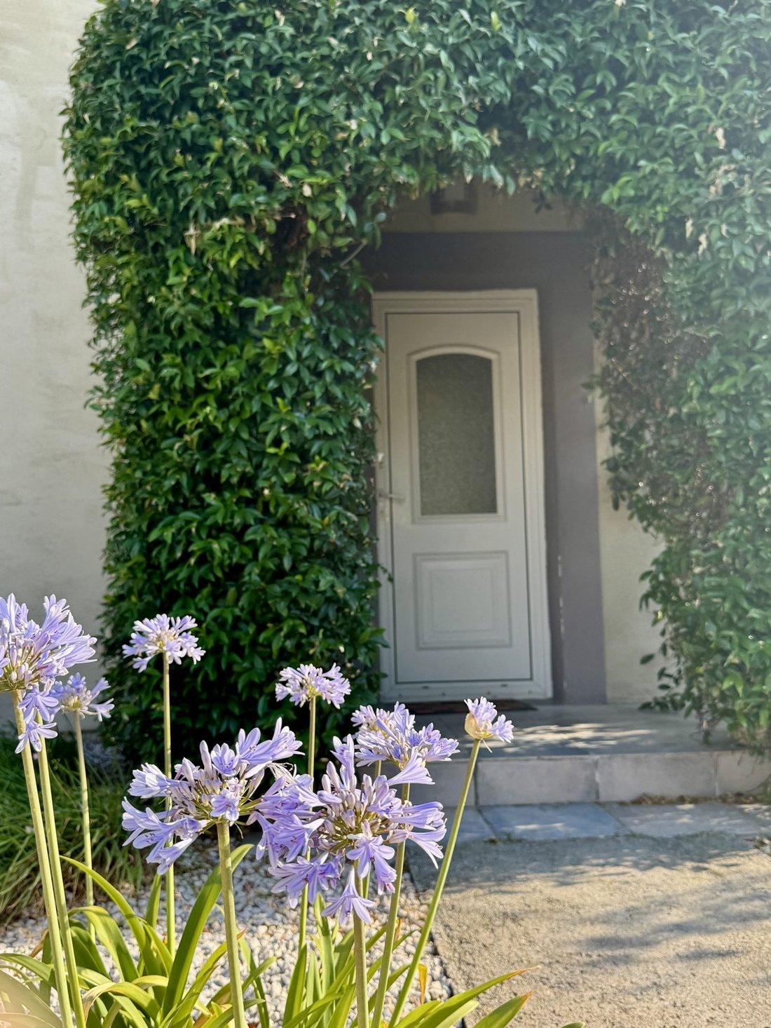 House in Saint-Pargoire, Occitania, France 4 - 18315526