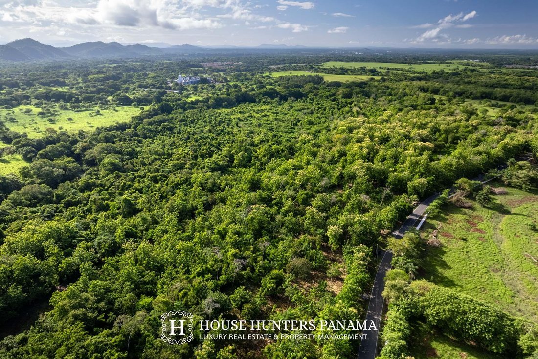 Land in Bágala, Chiriquí Province, Panama 1 - 18315897
