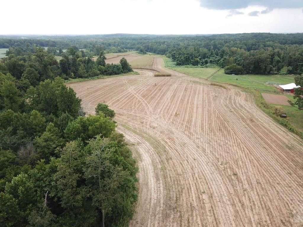 Land in Lexington, Tennessee, United States 3 - 12216742