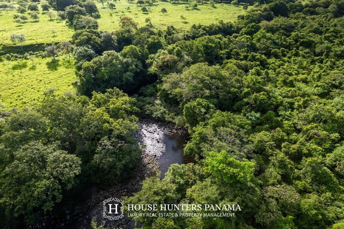 Land in Bágala, Chiriquí Province, Panama 4 - 18315897