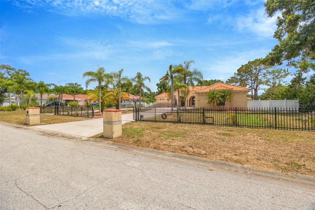 House in Odessa, Florida, United States 3 - 18315931