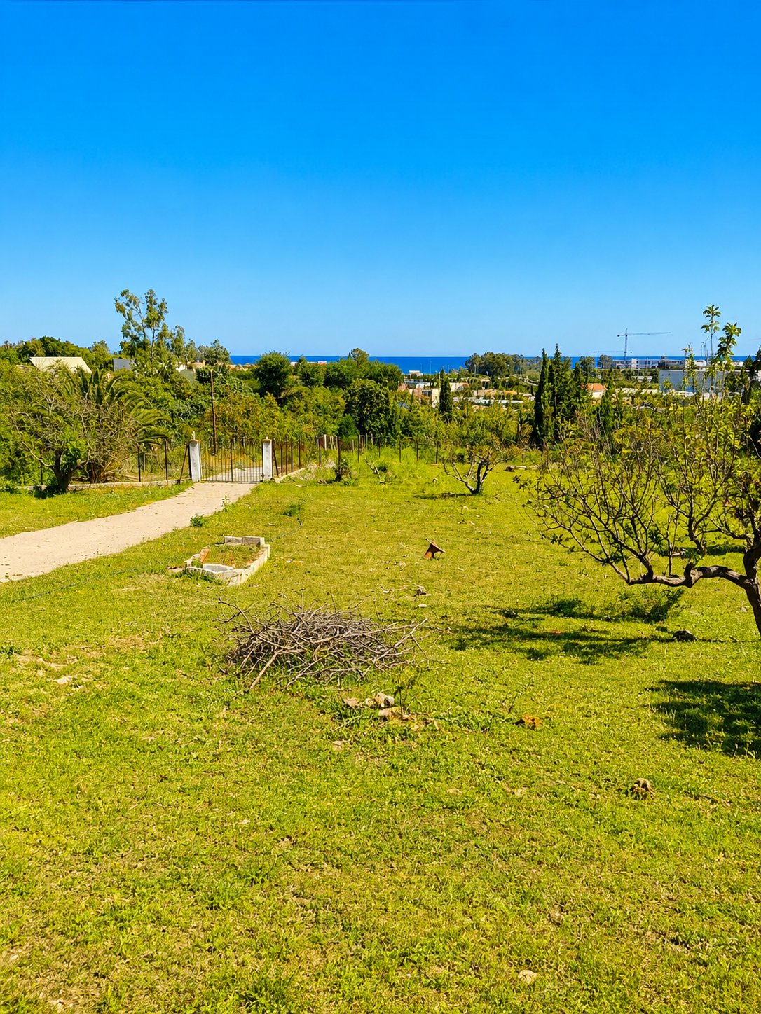 Finca in Gualdalmansa, Estepona, Andalusia 3 - 18316176