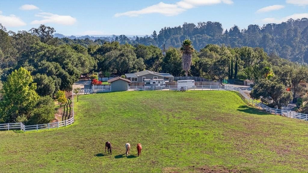 House in Santa Cruz, California, United States 1 - 16901536