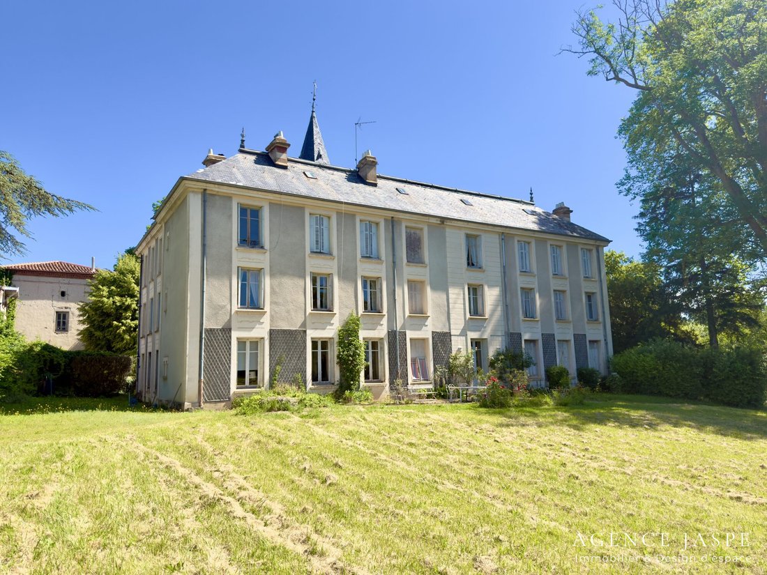 Chateau in Sury-le-Comtal, Auvergne-Rhône-Alpes, France 1 - 18077990