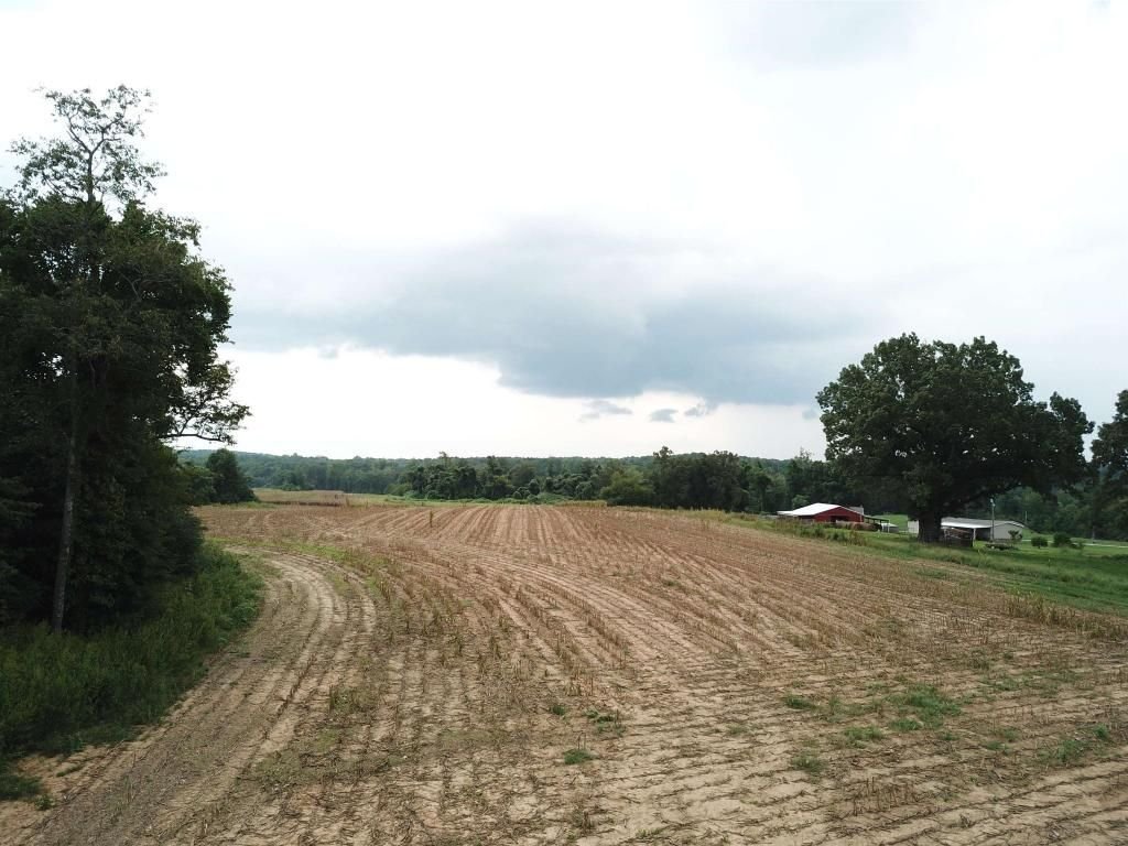 Land in Lexington, Tennessee, United States 2 - 12216742