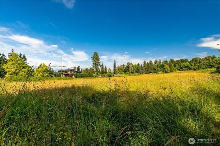 House in Blaine, Washington, United States 4 - 18315652