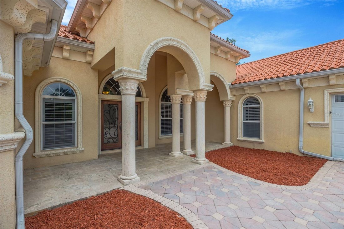 House in Odessa, Florida, United States 4 - 18315931