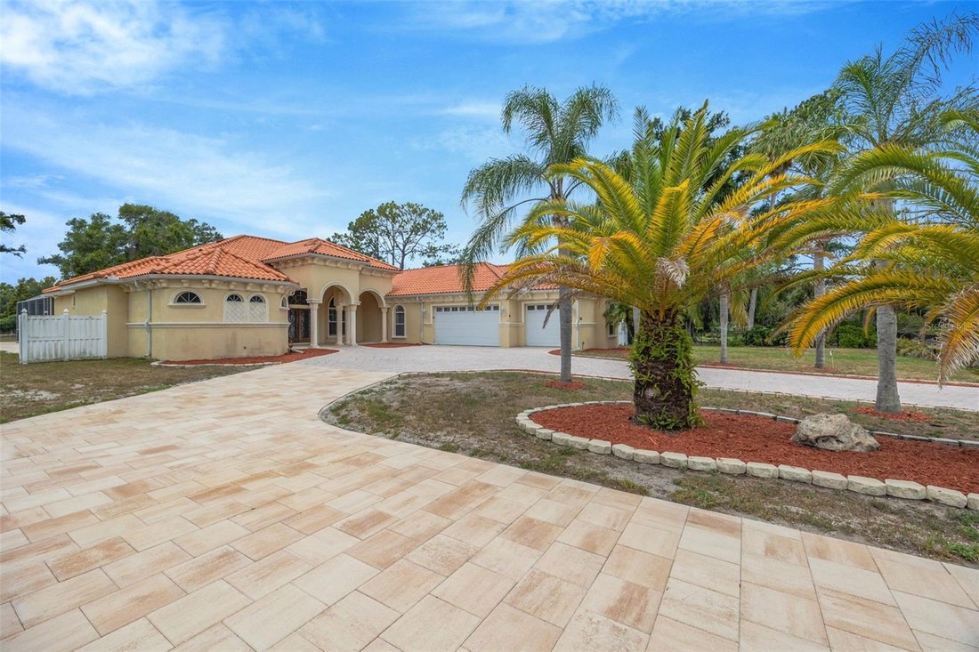 House in Odessa, Florida, United States 5 - 18315931