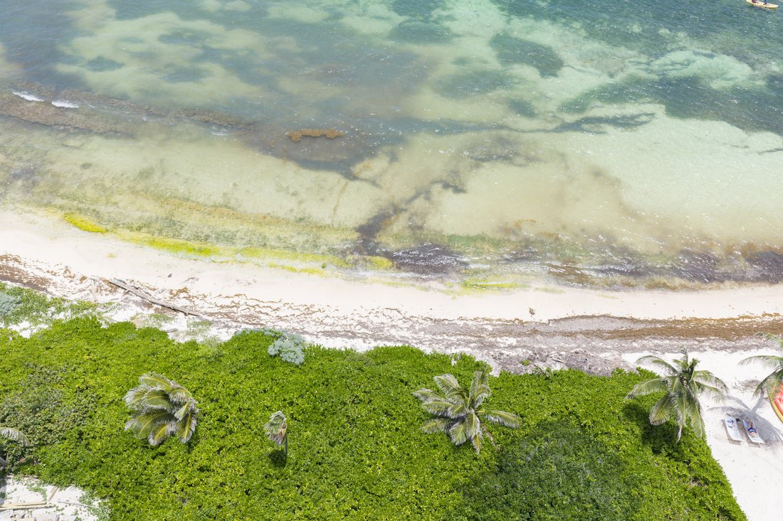 Land in Rum Point, North Side, Cayman Islands 3 - 18315629