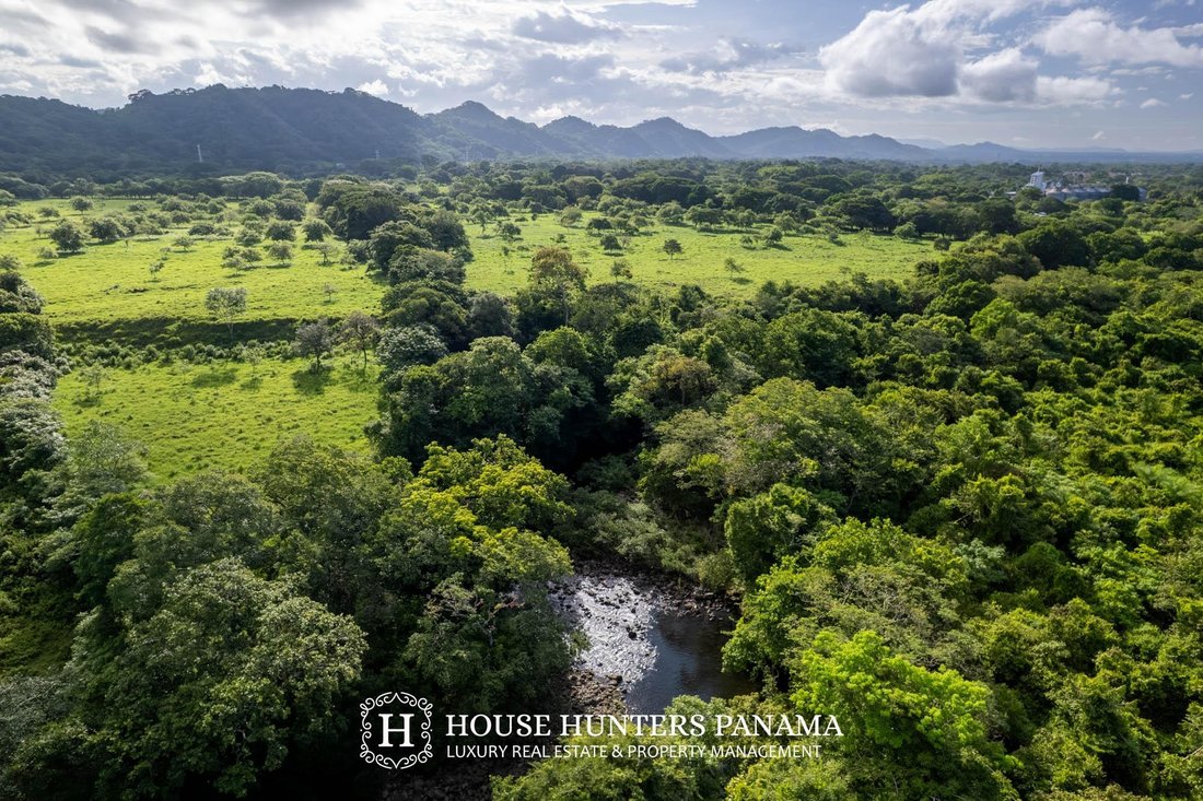 Land in Bágala, Chiriquí Province, Panama 3 - 18315897