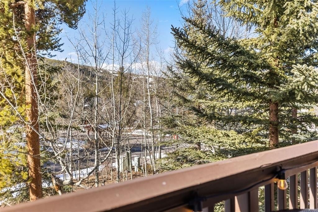 House in Dillon, Colorado, United States 3 - 18315383