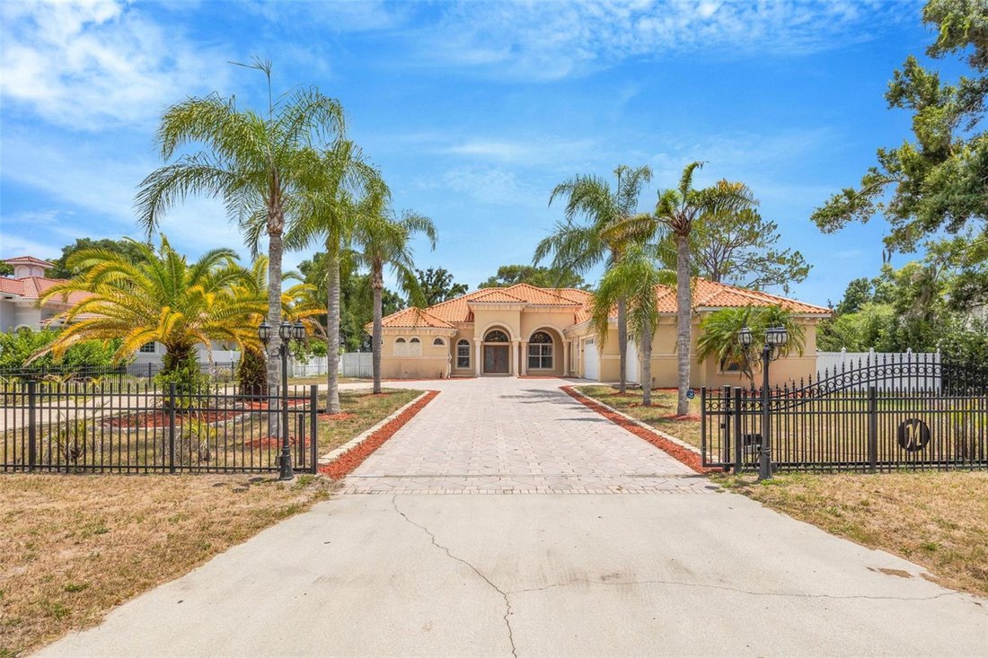 House in Odessa, Florida, United States 1 - 18315931