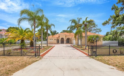House in Odessa, Florida, United States 1