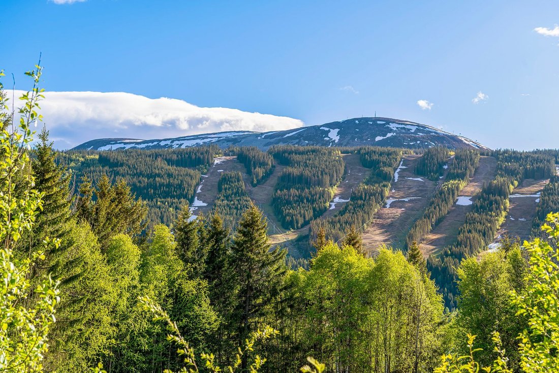 Estate in Sørskogbygda, Innlandet, Norway 5 - 18316485
