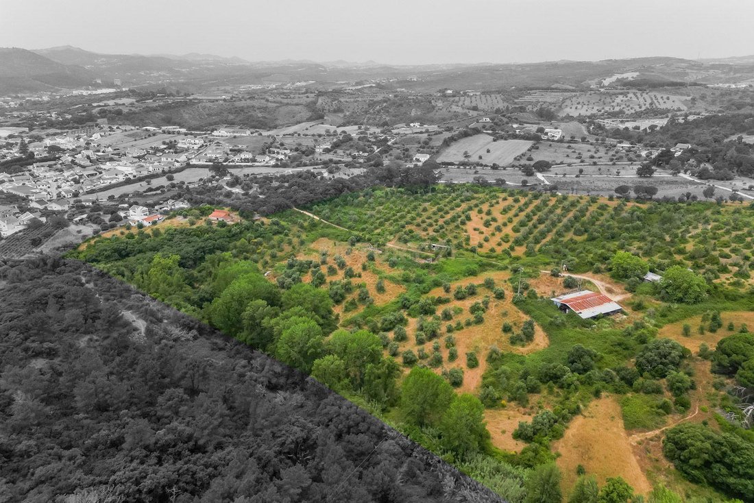 Land in Bucelas, Lisbon, Portugal 2 - 18316626