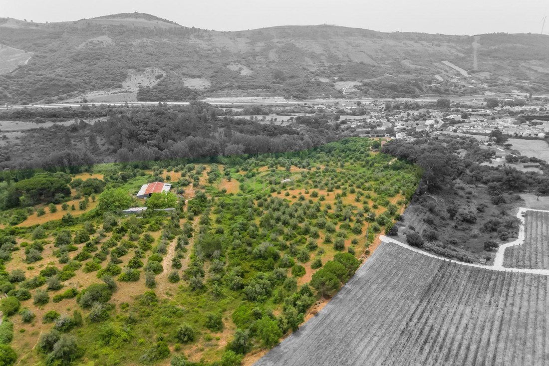 Land in Bucelas, Lisbon, Portugal 3 - 18316626