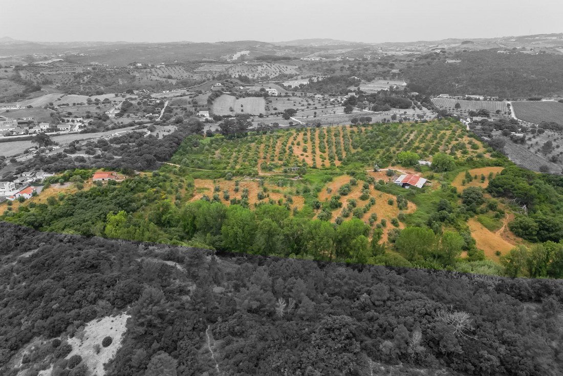 Land in Bucelas, Lisbon, Portugal 1 - 18316626