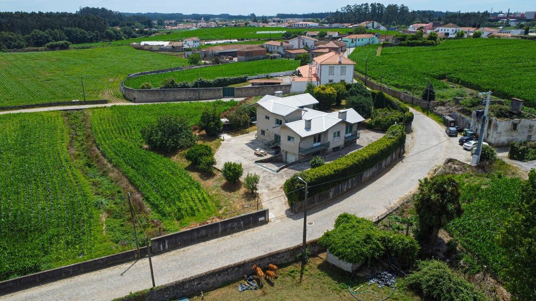 House in Giao, Porto District, Portugal 4 - 18316638
