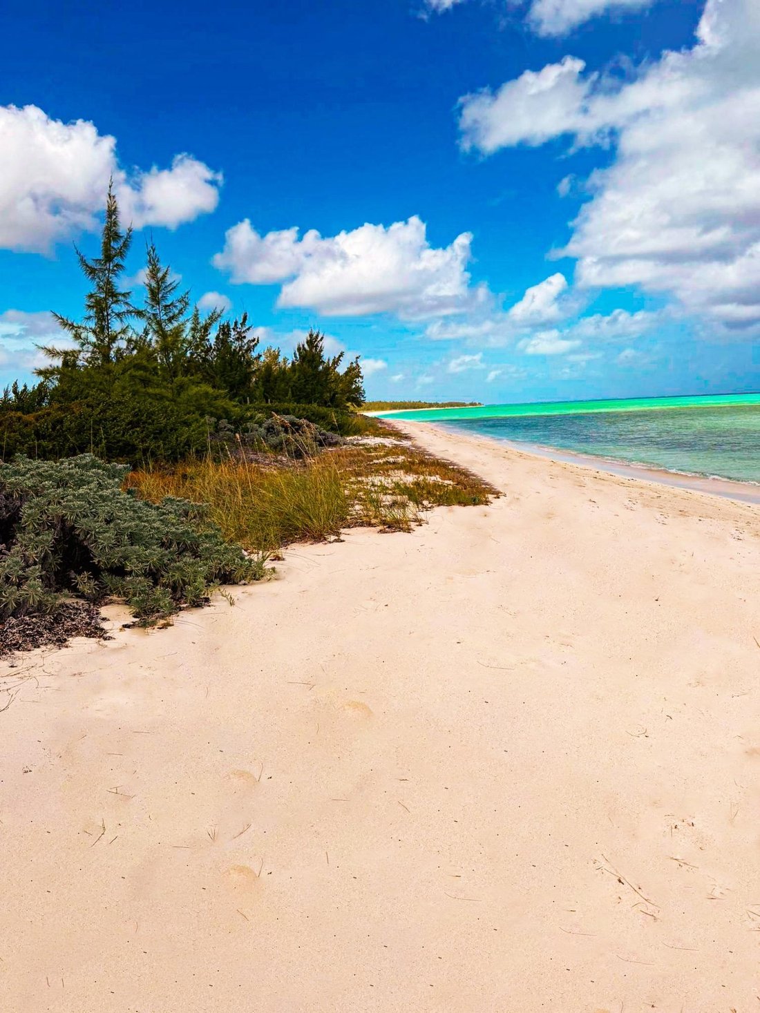 Land in Bambarra, Caicos Islands, Turks and Caicos Islands 4 - 18316709