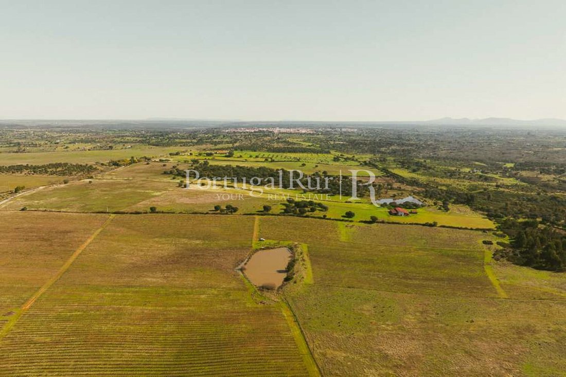 Finca in Se e Sao Lourenco, Portalegre District, Portugal 5 - 18156517