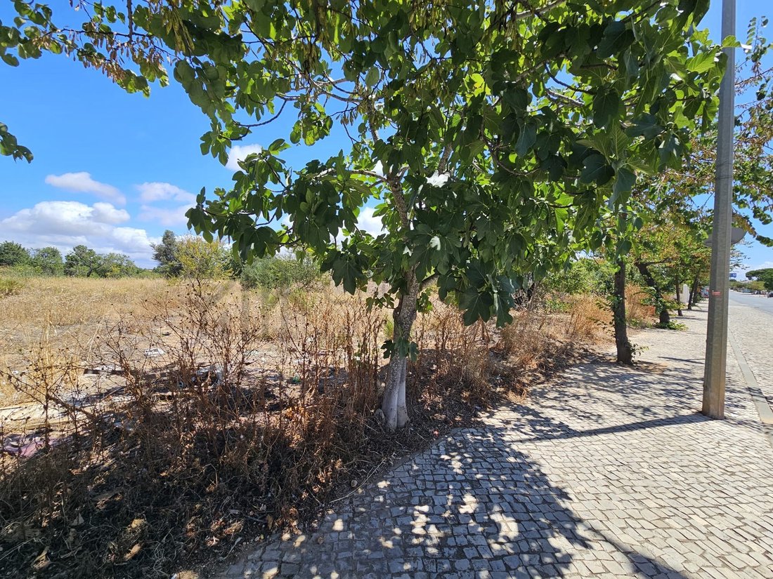 Land in Ferreiras, Algarve, Portugal 4 - 18316847
