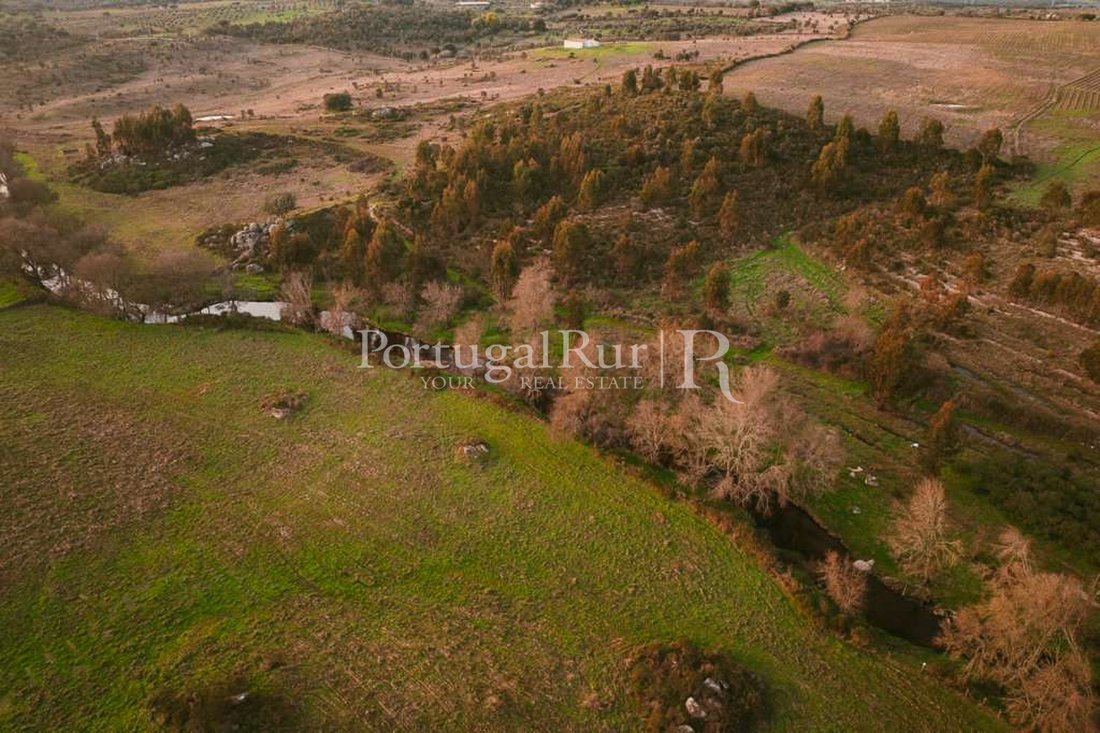 Finca in Se e Sao Lourenco, Portalegre District, Portugal 4 - 18156517